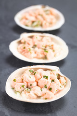Frisches Chilenisches Ceviche aus rohem Lachs, Knoblauch, Zwiebel, Salz, Zitronensaft und frischem Koriander serviert auf Muscheln (Selektiver Fokus, Fokus in die Mitte der ersten Ceviche)