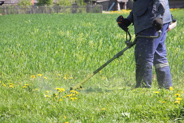 Man mowing the lawn with mower trimmer in a field on background of village houses on a Sunny summer day - garden tools