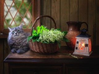 Still life with lily of the valley and pretty kitty