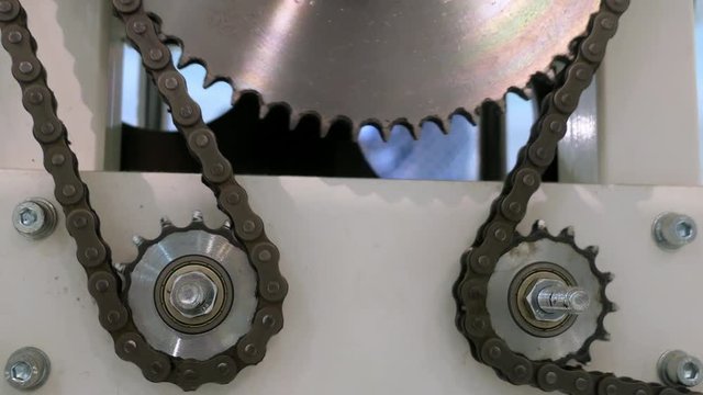 Chain Transmission Machinery with Sprockets and Roller Chain 