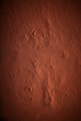 Background texture of cocoa or chocolate powder