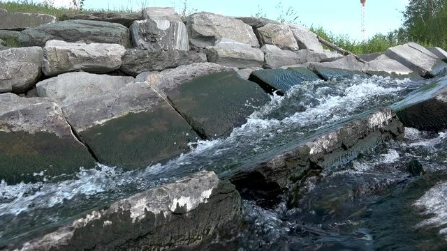 This batch contains several clips from the a sunny day in may in the scandinavian country of Norway. Sun in the trees. Flowers and trees are blooming. Waterfall and the seagulls play on the beach.