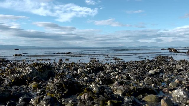 This batch contains several clips from the a sunny day in may in the scandinavian country of Norway. Sun in the trees. Flowers and trees are blooming. Waterfall and the seagulls play on the beach.