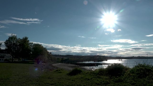This batch contains several clips from the a sunny day in may in the scandinavian country of Norway. Sun in the trees. Flowers and trees are blooming. Waterfall and the seagulls play on the beach.
