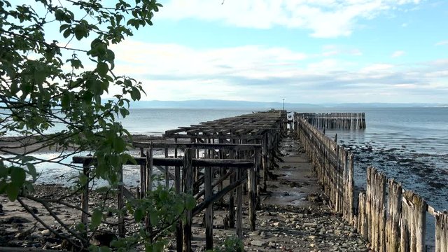 This batch contains several clips from the a sunny day in may in the scandinavian country of Norway. Sun in the trees. Flowers and trees are blooming. Waterfall and the seagulls play on the beach.