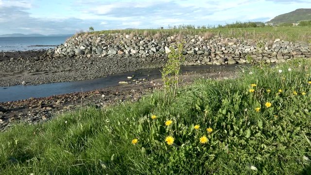 This batch contains several clips from the a sunny day in may in the scandinavian country of Norway. Sun in the trees. Flowers and trees are blooming. Waterfall and the seagulls play on the beach.