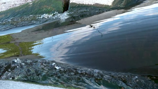 This batch contains several clips from the a sunny day in may in the scandinavian country of Norway. Sun in the trees. Flowers and trees are blooming. Waterfall and the seagulls play on the beach.