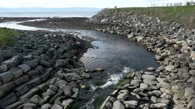 This batch contains several clips from the a sunny day in may in the scandinavian country of Norway. Sun in the trees. Flowers and trees are blooming. Waterfall and the seagulls play on the beach.