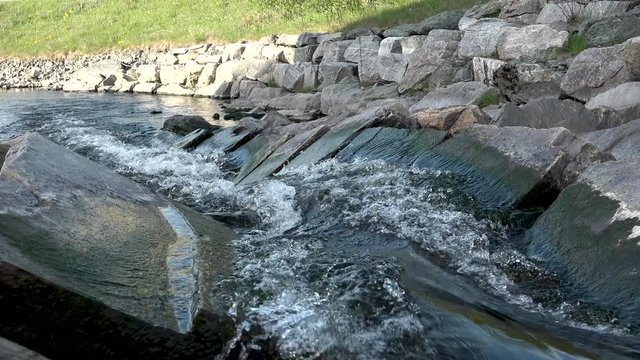 This batch contains several clips from the a sunny day in may in the scandinavian country of Norway. Sun in the trees. Flowers and trees are blooming. Waterfall and the seagulls play on the beach.