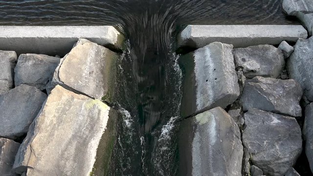 This batch contains several clips from the a sunny day in may in the scandinavian country of Norway. Sun in the trees. Flowers and trees are blooming. Waterfall and the seagulls play on the beach.