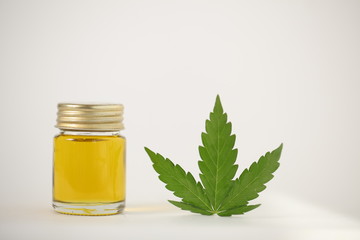 Cbd oil hemp leaf. Cannabis marijuana medicine concept