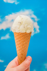 アイスクリーム　ジェラート　Midsummer cold ice cream