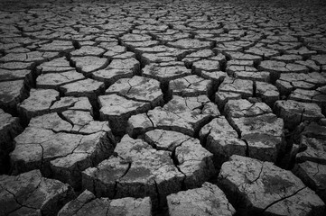 cracked earth texture