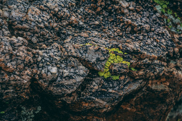 Boulder With Bright Green Moss