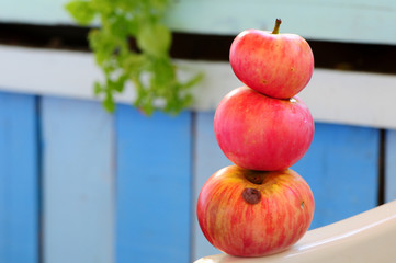 Apples produced by natural agricultural methods. Organic and delicious.