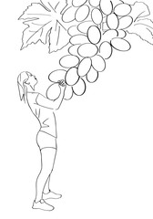 Young woman pulls a grape. Healthy food and diet symbol. Design element for healthy lifestyle and vegetarian. Creative drawing. Isolated black contour. Hand drawn vector silhouette.
