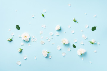 Flowers composition. White roses and floral petals on blue background. Flat lay, top view. Creative layout. Spring or summer banner with copy space