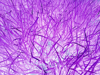 Colorful neon futuristic purple leaves texture.