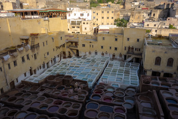 Leather dying in a traditional tannery in the medina of Fes, Morocco