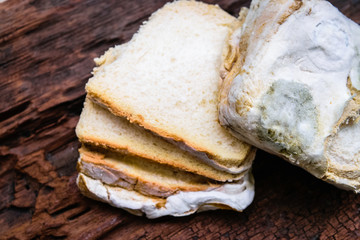 Mold up the bread that has expired