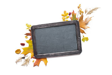 Chalk board and multicolored fallen leaves
