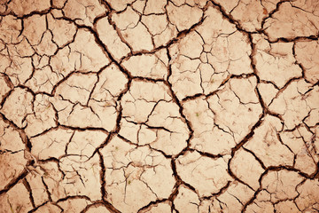 Land with dry and cracked ground. Global warming background