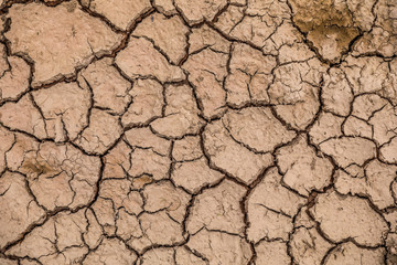 Land with dry and cracked ground. Global warming background