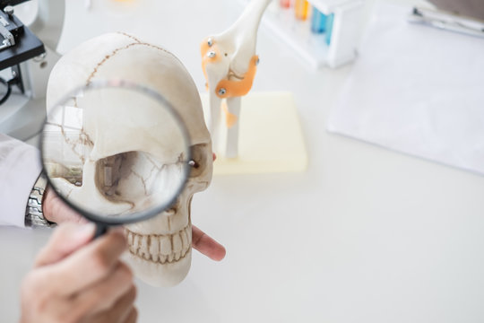 a doctor holding manifying glass in front of a skull in a white laboratory or hospital.