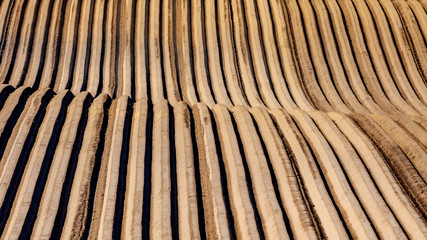 Close-up aerial view of line furrows on farmland that is plowed, prepared and planted with potatoes, texture and shape in ground of vegetable farm, sunny day in Oensel in South Limburg, Netherlands