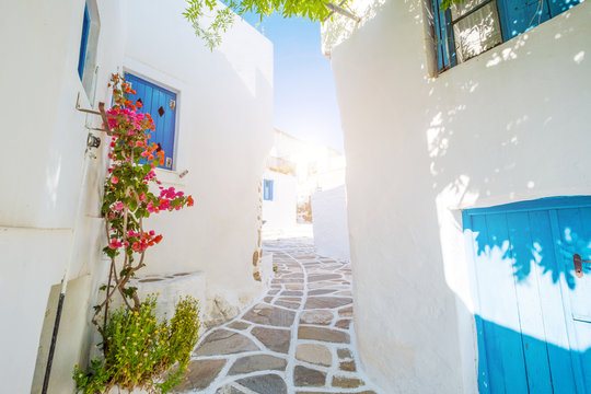 Street With Beautiful Pink Bougainvillea Flowers And White House Walls. Colourful Greek Street In Lefkes, Paros Island