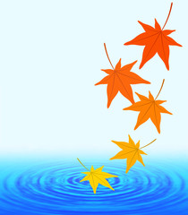 水面に落ちるもみじ