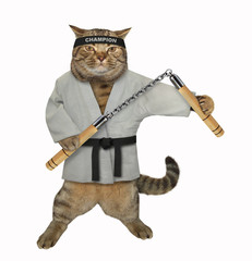 The cat karate fighter in a kimono with a black belt and headband is making exercise with nunchuck. White background. Isolated. © iridi66