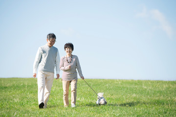 草原で犬の散歩をするシニア夫婦