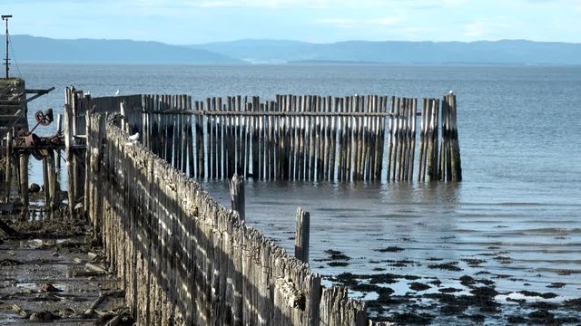 This batch contains several clips from the a sunny day in may in the scandinavian country of Norway. Sun in the trees. Flowers and trees are blooming. Waterfall and the seagulls play on the beach.