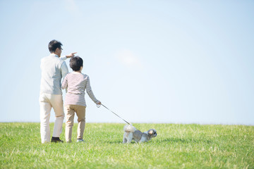 草原で犬の散歩をするシニア夫婦の後姿