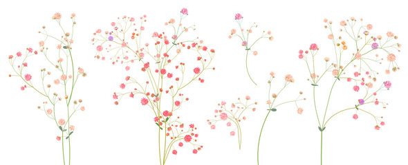 Twigs of gypsophile paniculata. Pink, white, red tiny flowers, buds, green leaves. Delicate ramules for bouquets. Panoramic view, botanical illustration in watercolor style, horizontal pattern, vector