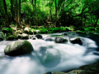 sombras en el río