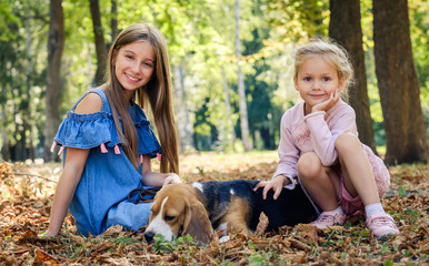 Pretty smiling little girls sitting with a beagle dog in a sunshine autumn park