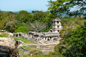 Palenque ruins, ancient maya city in jungle of Mexico