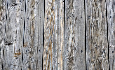 Fototapeta premium Against Wood Grain