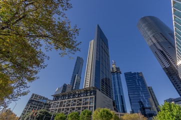 Obraz premium Reaching Towers