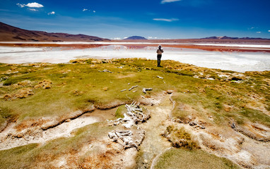 Girl looking at sunsine lagoon in Bolivian desert