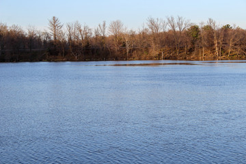 lake in winter