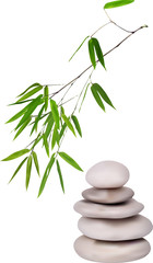 Plakat isolated grey stones and green bamboo illustration