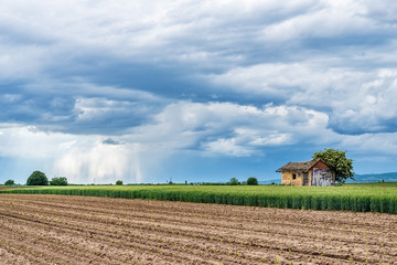 Old House in the field