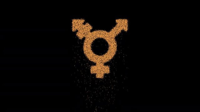 Symbol transgender appears from crumbling sand. Then crumbles down. Alpha channel Premultiplied - Matted with color black