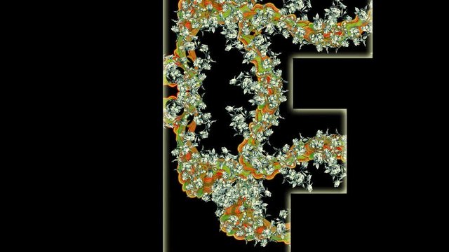 Letter F.