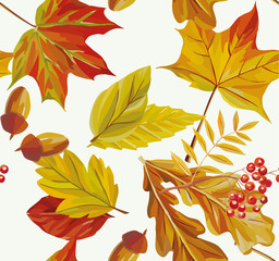 Autumn maple ashberry painting pattern illustration