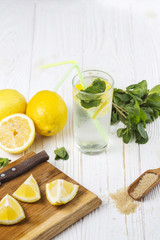 Ingredients for refreshing citrus mint water