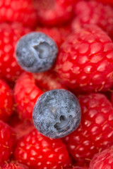 Blaubeeren und Himbeeren